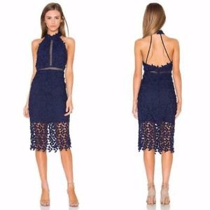 Bardot Lace Halter Dress in Navy